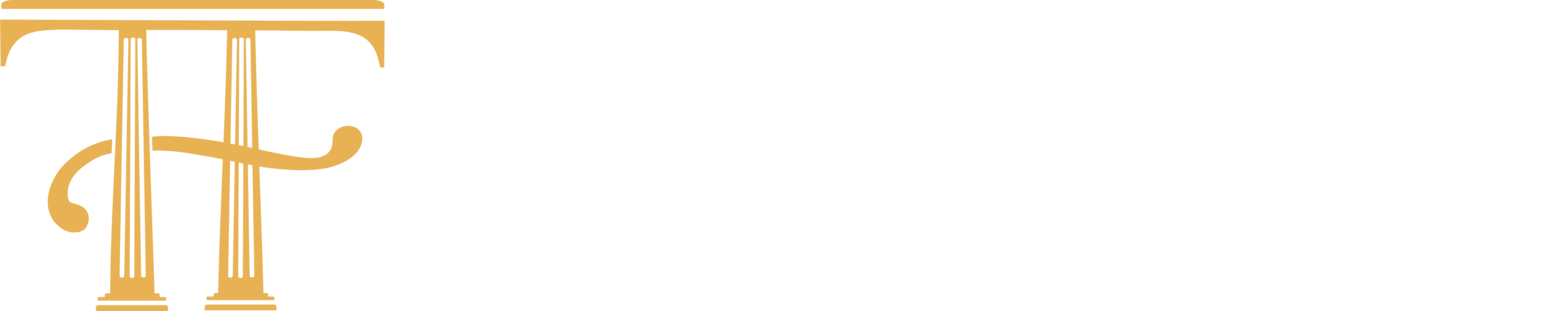 Thiago Fachetti Advogados